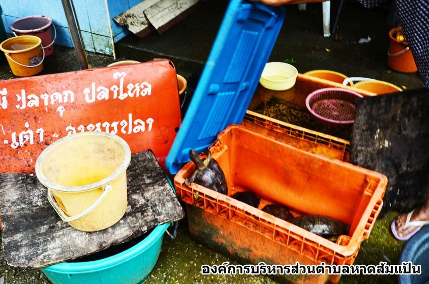 วัดหาดส้มแป้น