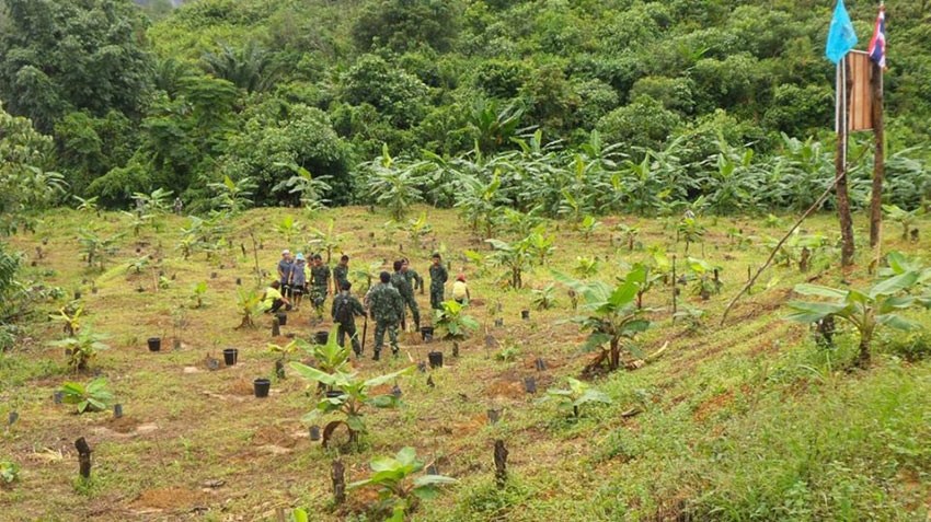 ภาพกิจกรรม องค์การบริหารส่วนตําบล หาดส้มแป้น(จ.ระนอง)