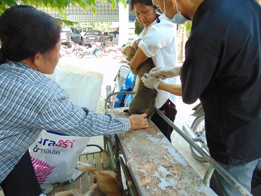 โครงการรณรงค์ฉีดวัคซีนป้องกันโรคพิษสุนัขบ้า