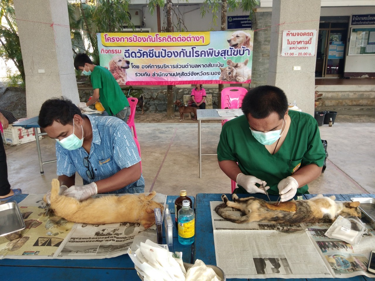 โครงการป้องกันโรคพิษสุนัขบ้า ประจำปี 2563